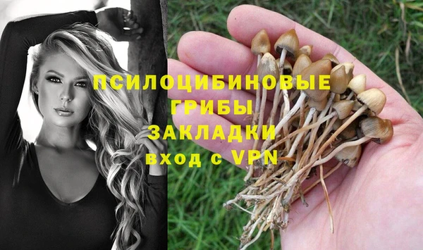 тгк Абдулино