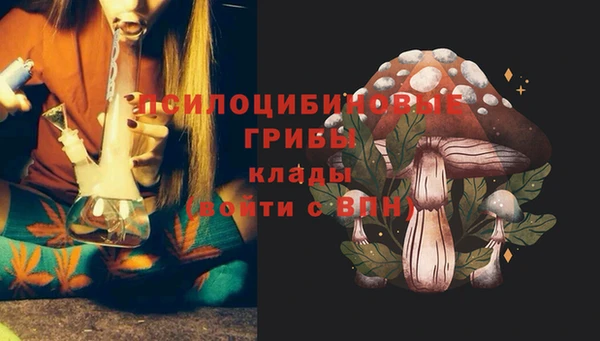 тгк Абдулино