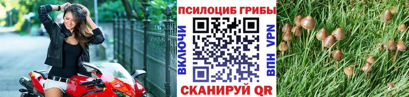 Галлюциногенные грибы Psilocybe  MEGA рабочий сайт  Плавск 